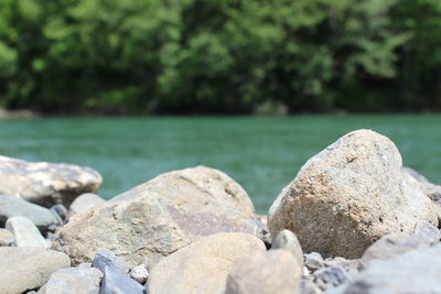 Close-up of pebbles in water