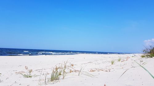 Scenic view of beach against blue sky