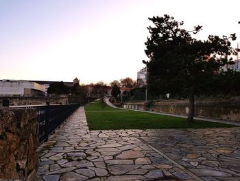 Trees in city against clear sky