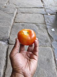 Close-up of hand holding orange