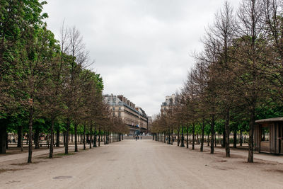 Walkway along trees in park