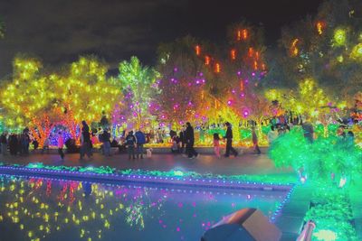 People in illuminated firework display against sky at night