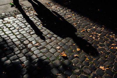 High angle view of shadow on footpath