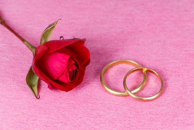 Close-up of rose with pink roses