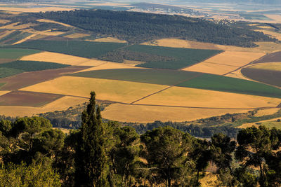 Scenic view of agricultural field