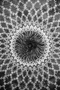 High angle view of shells