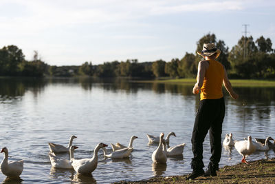 Rear view of woman feeding goose in lake against sky