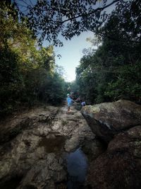 Rear view of man walking on rock