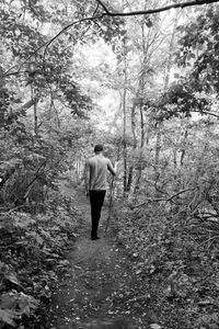 Rear view of man walking in forest