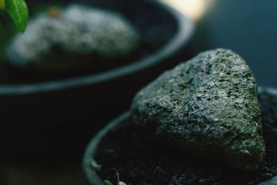 Close-up of pebbles on rock