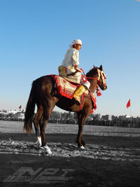 Man riding horse