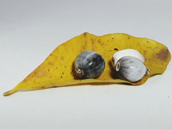 Close-up of fruit against white background