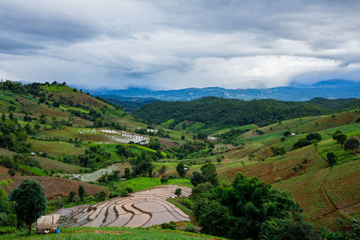 High angle view of trees on field against sky