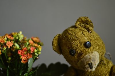 Close-up of old teddy bear and flowers