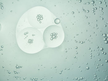 Close-up of water drops on glass