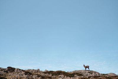 Man on rock against clear sky