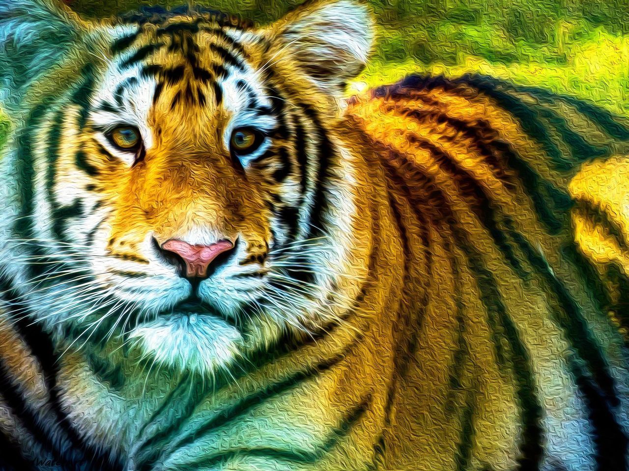 PORTRAIT OF TIGER OUTDOORS