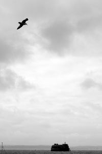 Low angle view of bird flying over sea against sky