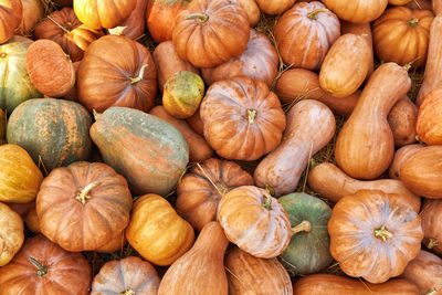Full frame shot of pumpkins at market