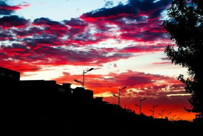 Low angle view of silhouette trees against sky during sunset