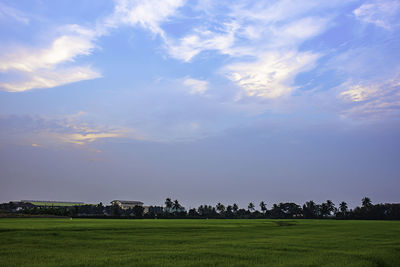 Scenic view of field against sky