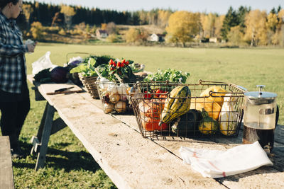 Variety of organic vegetables in baskets on table for sale at farmer's market