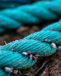 Close-up of blue rope