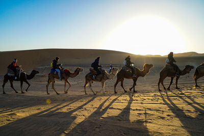 Group of people riding horses