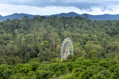 Scenic view of forest against sky