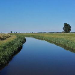 Scenic view of lake against clear blue sky