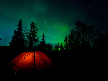 Scenic view of trees against sky at night