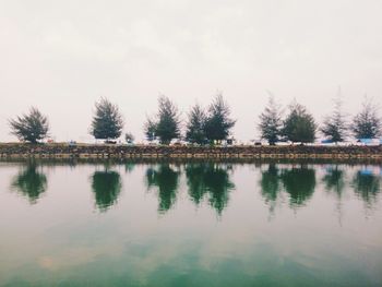 Reflection of trees in water