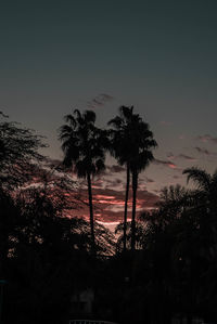 Silhouette trees against sky at sunset