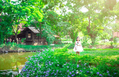 Woman standing by plants against trees