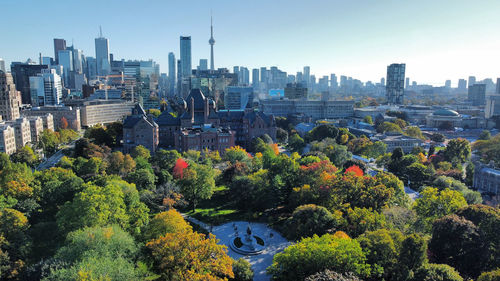 View of trees and buildings in city