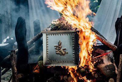 Close-up of fire on log