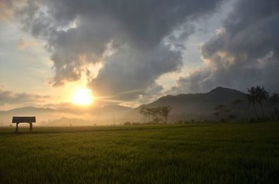 Scenic view of farm against sky during sunset