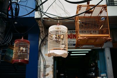 Bird cages at the old market