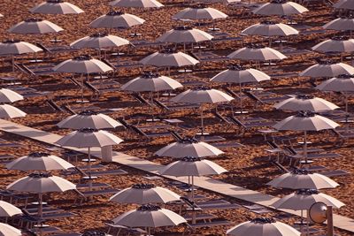 High angle view of umbrellas on beach