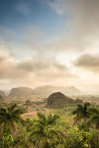 Scenic view of landscape against sky