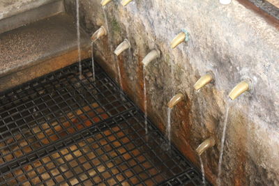 High angle view of wood