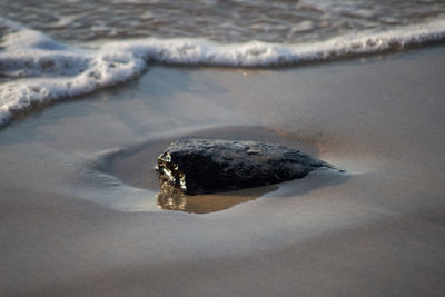 Wave and rock 