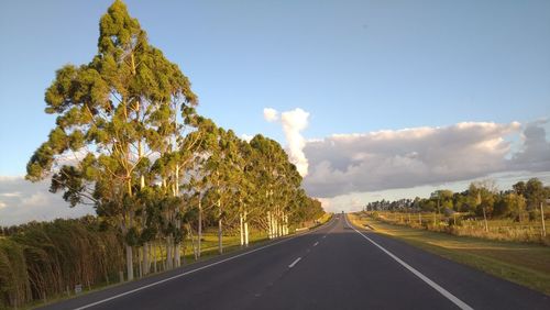 Road by trees against sky