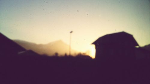 Silhouette of trees at sunset