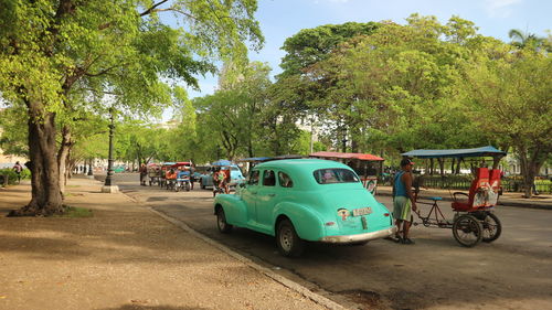 Cars on road against trees in city