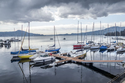 Sailboats moored in harbor