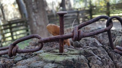 Close-up of chainlink fence