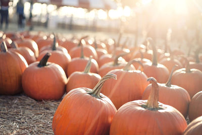 Close-up of pumpkins for sale at market