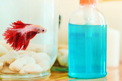 Close-up of drinking glass on table