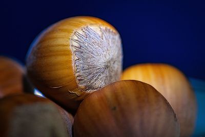 Close-up of bananas